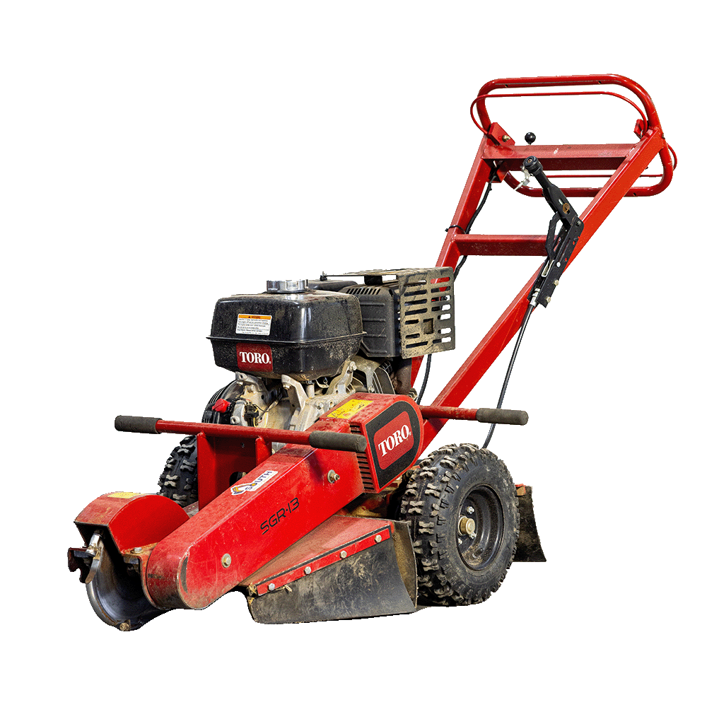 SVR Catalog-19