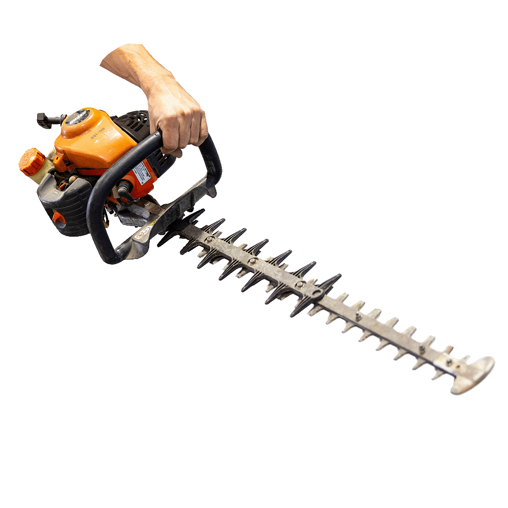 echo Trimmer equipment rental